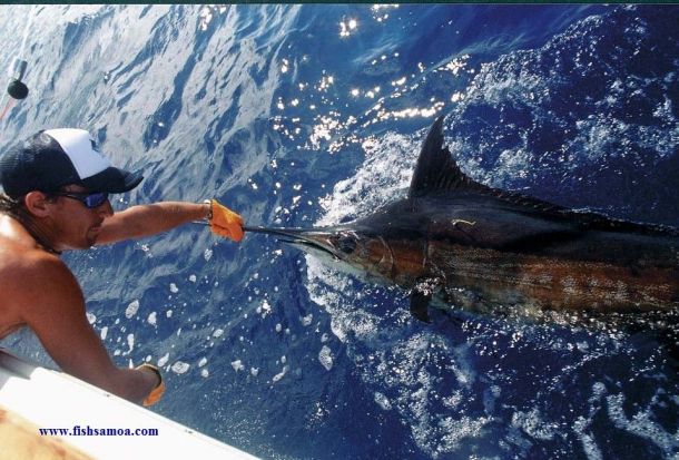 Samoa gears up for world class game tournament